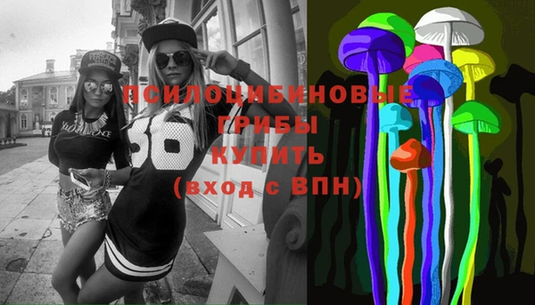 крисы Карталы